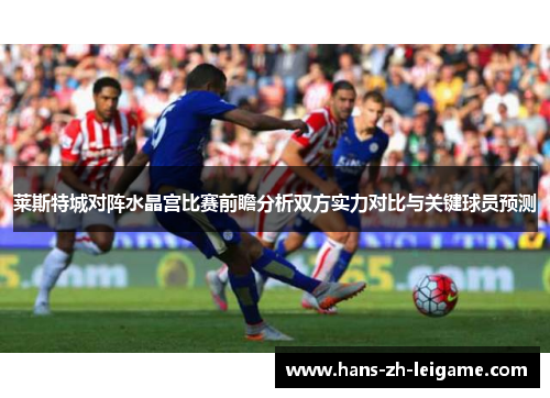 莱斯特城对阵水晶宫比赛前瞻分析双方实力对比与关键球员预测 莱斯特城对阵水晶宫比赛前瞻分析双方实力对比与关键球员预测