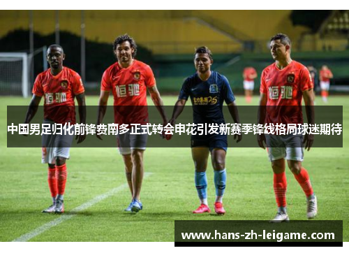 中国男足归化前锋费南多正式转会申花引发新赛季锋线格局球迷期待