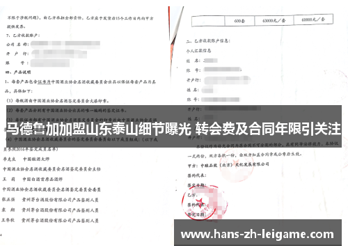 马德鲁加加盟山东泰山细节曝光 转会费及合同年限引关注